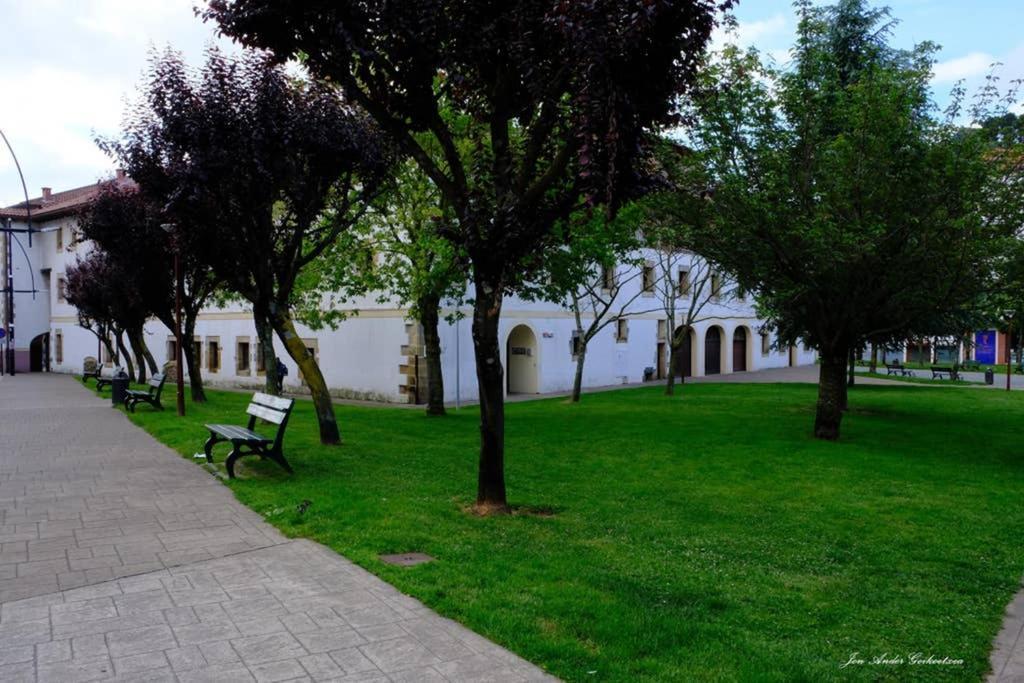 Apartament Sare Enea