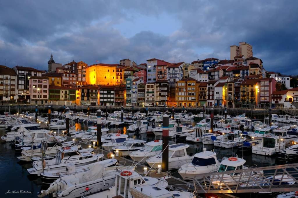 Apartament Sare Enea *